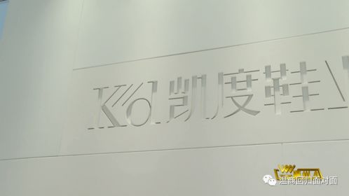 劉彬 以產品研發驅動溫州鞋業升級，教育項目與科研文獻并進